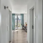 Scheu